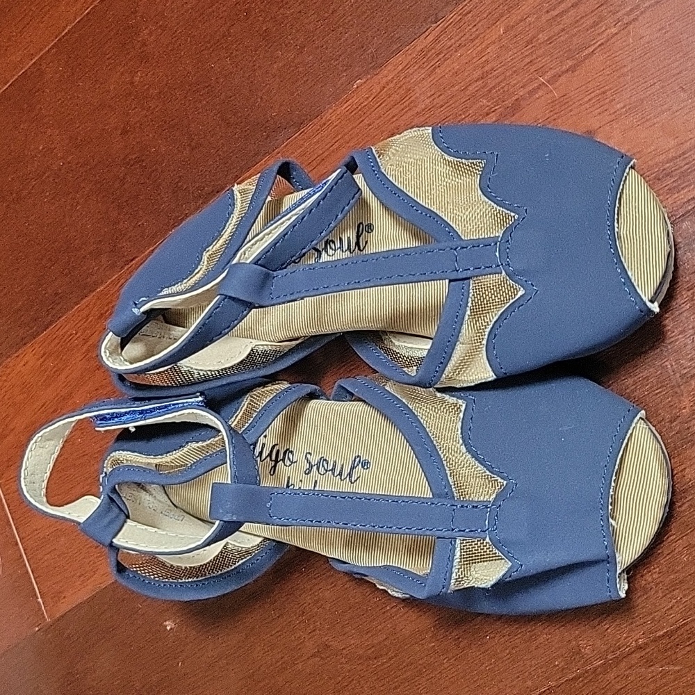 EUC Indigo Soul Blue Dress Shoes